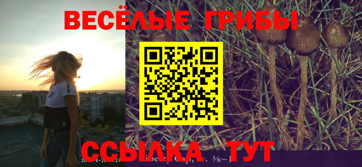 Галлюциногенные грибы MAGIC MUSHROOMS  Вход с VPN  Аша  Галлюциногенные грибы Magic Shrooms 