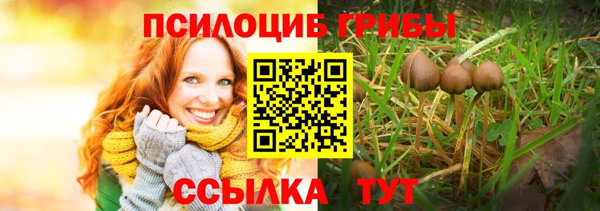 Псилоцибиновые грибы мицелий Аша